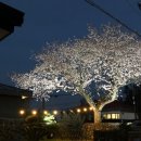 달코네민박 이미지