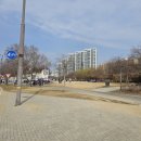 반포 한강 공원 자전거타기, 대여방법 위치 요금 대여시간 주차 + 한강변 강제임장 후기