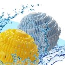 초록세탁 이미지