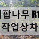 비안농장 이미지