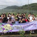 하동군청소년수련관 이미지