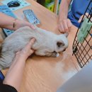 빛고을 동물의료센터 이미지