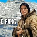 스트레스 심할 때 몸이 보내는 신호 5 가지 /명화감상/﻿White Fang (1시간39분) 이미지
