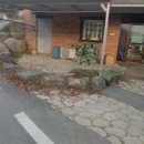 내안의숲 이미지