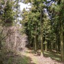 제주파크힐 이미지