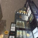 퇴근이 모야 | [신논현역 맛집] 숯불향 가득한 꼬치에 반한 날! 신논현 이자카야 모야(MOYA)