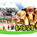 (주)금강송