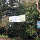 월등도 입구 이미지