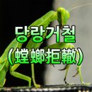 장자의세상 3 이미지