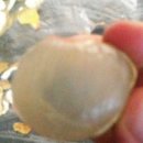 재미있는 중국어 이미지