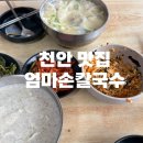 엄마손칼국수 | 천안 성정동 로컬 맛집 엄마손칼국수 내돈내산 후기