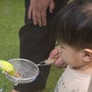 벅스(주) | 인천아이랑가볼만한곳 추천, 쥬벅스 실내동물원 아이 반응 리얼 후기