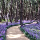 동백코스(서천-군산) 이미지