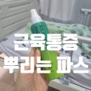 메이신릴렉스 | 근육통 무릎관절 뻐근할 때 뿌리는 RX메이신 쿨링 스프레이 후기