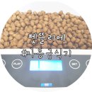 펫 뜰 이미지