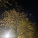 덕산초등학교 이미지