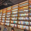 컴온독 | 마곡 역 북 카페 원그로브카페 추천 마곡책빵