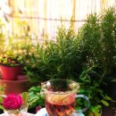 슈필라움 이미지