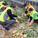 나비골농협 이미지