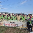 텃밭가꾸기 이미지