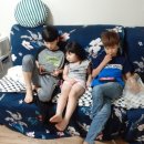 천재 합기도 이미지