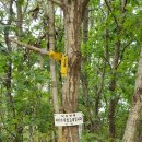 곰치농장 이미지