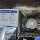 연일자동차공업사 이미지