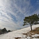 영덕목장 이미지