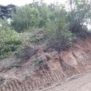 영빈농장 이미지