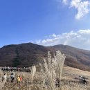 황금사슴농장 이미지