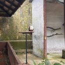 나무그늘파크(park) | 말레이시아 쿠알라룸푸르 - 새 공원(KL bird park) 방문 후기