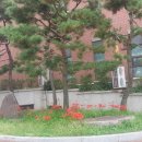 남도사랑채민박 이미지