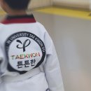 용인대양지태권도장 이미지