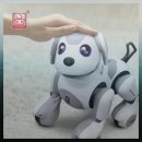 다우동물병원 이미지