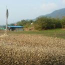 그린좌대낚시터 이미지