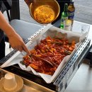 선선오리 이미지