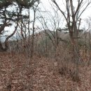 예향산 등산로 이미지