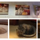 신달하우스 이미지