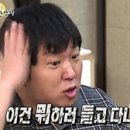 참치와연어