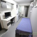 가지스테이 이미지