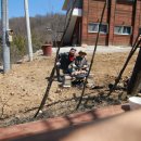 야생초마을아미골 이미지