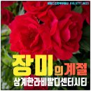 사계절공인중개사사무소 | 김해 삼계한라비발디센텀시티 장미정원, 조경이 아름다운 삼계동 아파트