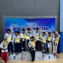 용인대마루한태권도장 이미지