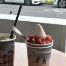 월영동279 | June (1) : 안온한 날들