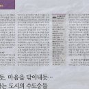 세차나라 Daum카페