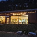 포레스트569