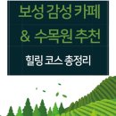 고개너머 동향길 | 보성 감성 카페 &amp; 수목원 추천｜녹차밭 너머의 힐링 코스 총정리