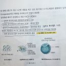 [2023심화/통합] 통합3권 19장 발생학 p.76, 90 카드헤린이 포배강 형성에 미치는 영향 이미지
