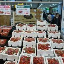 세이브존 화정점 고유가 시대 알뜰 쇼핑 성공! 식품관 직접 다녀온 후기
