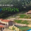 팔공산금화자연휴양림 이미지